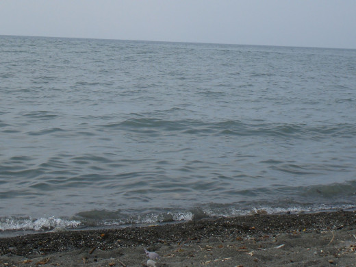 435267 (a): :2000x1500